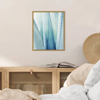 16" X 20" Pale Agave No.1 By Lupen Grainne Framed Canvas Wall Art Blue - Amanti Art - Image 5
