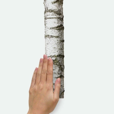 15" X 86" Realistic Birch Trees Peel And Stick Giant Wall Decal - RoomMates - Image 5