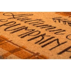 1'4" X 2'4" Autumn Skies Pumpkin Pies Indoor/Outdoor Coir Doormat Orange/Brown - Entryways