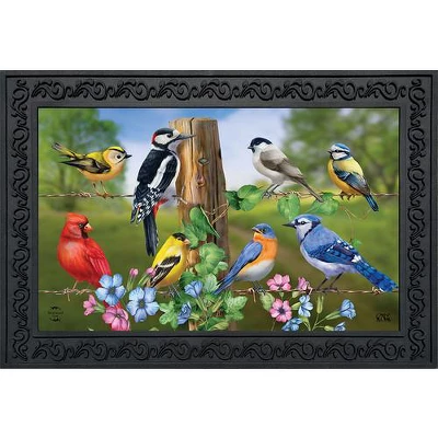 Briarwood Lane Country Birds Spring Doormat Finch Blue Jay Cardinal Indoor Outdoor 30" X 18"