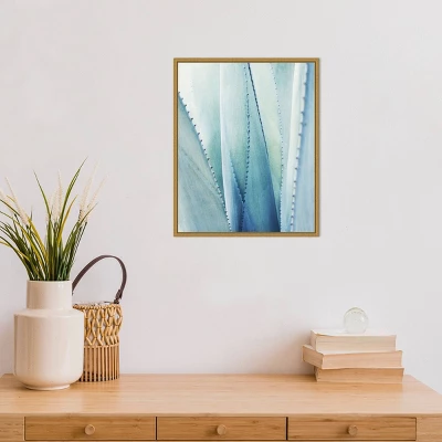 16" X 20" Pale Agave No.1 By Lupen Grainne Framed Canvas Wall Art Blue - Amanti Art - Image 3