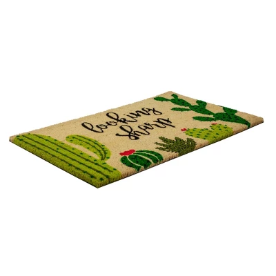 1'4" X 2'4" Looking Sharp Cactus Indoor/Outdoor Doormat Green/Black - Entryways
