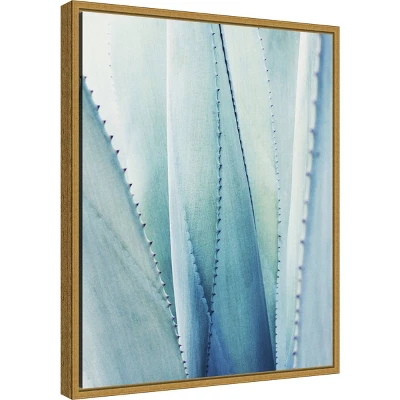 16" X 20" Pale Agave No.1 By Lupen Grainne Framed Canvas Wall Art Blue - Amanti Art