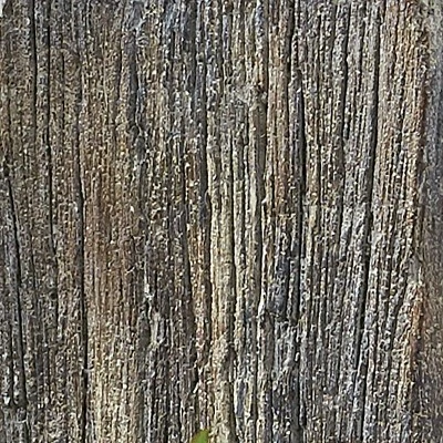 Park Designs Cement Wall Shelf - Image 2