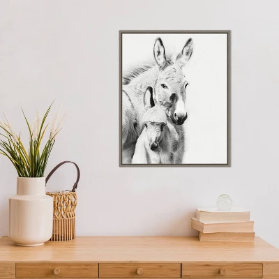 16" X 20" Donkey Portrait V By PH Burchett Framed Canvas Wall Art - Amanti Art - Image 4