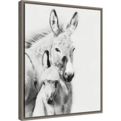 16" X 20" Donkey Portrait V By PH Burchett Framed Canvas Wall Art - Amanti Art