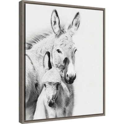 16" X 20" Donkey Portrait V By PH Burchett Framed Canvas Wall Art - Amanti Art
