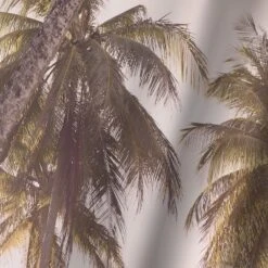 Blush Palms By Sisi And Seb Wall Tapestry